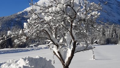 Winterlandschaft