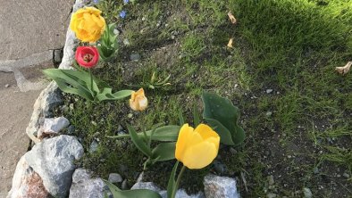 Frühling auf der Terrasse, © KITZALPHOUSE