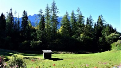 ZirbennestMartha_Außen_Sommer_klein_AussichtSommer