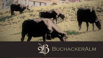 BuchackerAlm Image