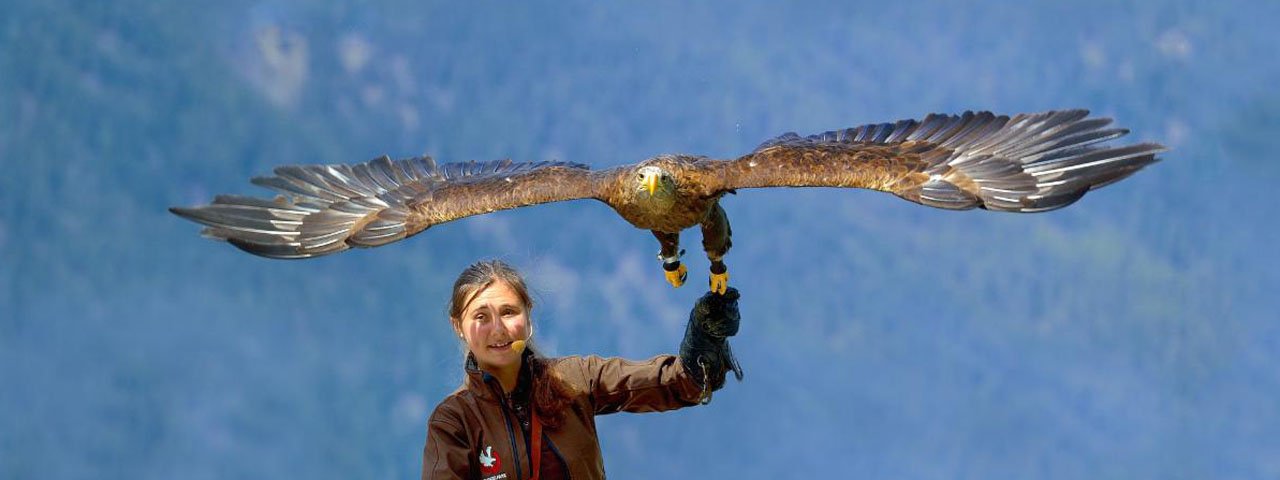 Umhausen Birds of Prey Park, © Greifvogelpark Umhausen