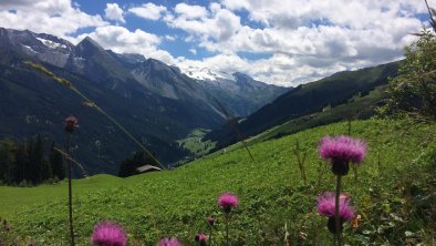 Bergwelt Tuxertal