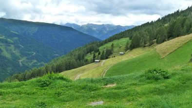 Umgebung bei der Almhütte