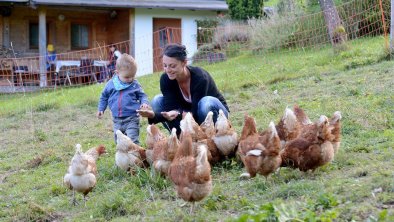 Tiere am Bauernhof2