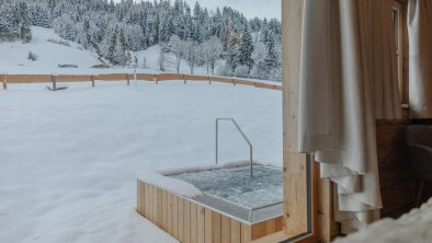 hygnachalets_alpbachtal_whirlpoolwithaview