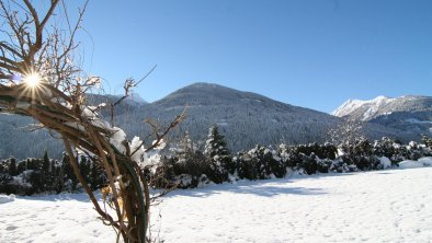 bronte-haus-winter-garten-baum-sonne