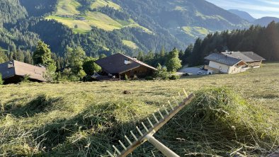 Aussergraben_Alpbach_Mähen