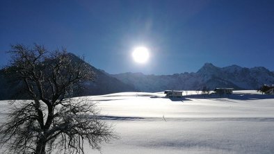 Blick vom Haus zum Kaisergebirge