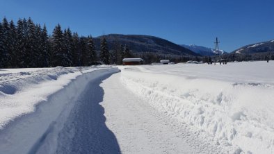 Spazierweg entlang der Leutascher Ache