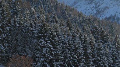 Glücksplatzl Mieders Ausblick Serles