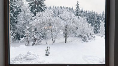 Zimmer mit Aussicht