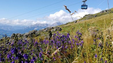 Seilbahn Kitzbüheler Horn, © me