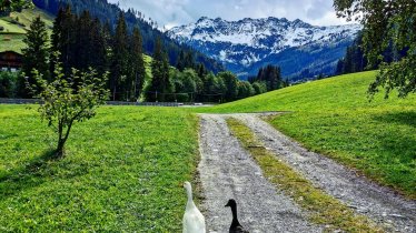 Ausblick auf Sagtaler Spitzen