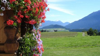 garden with view