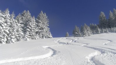 Spuren im Schnee