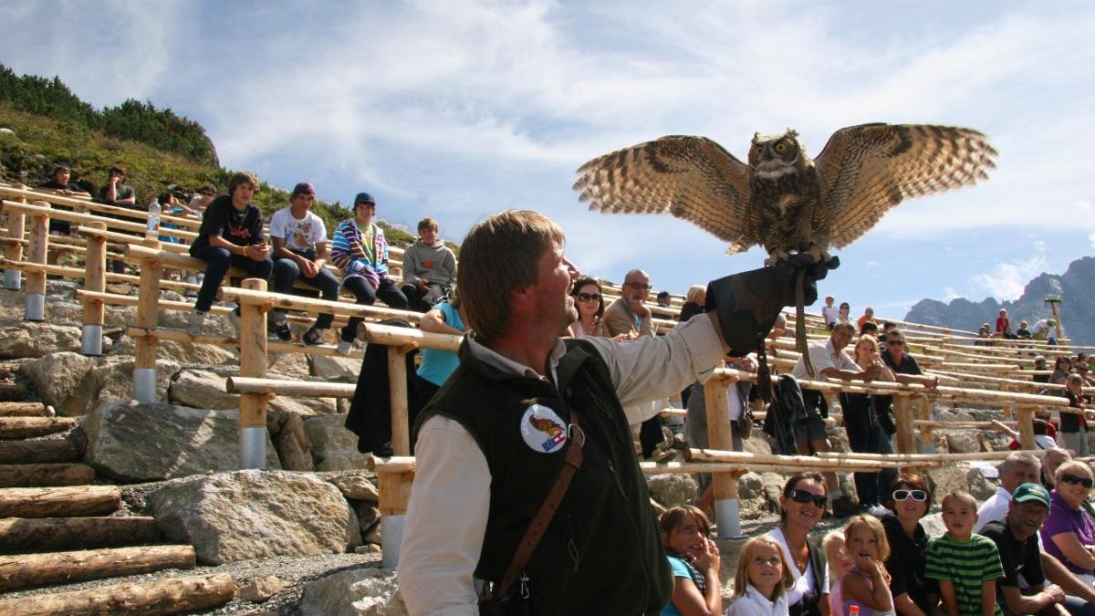 The Adlerbühne Ahorn is a birds of prey centre at 2,000m where visitors can marvel at the flying and hunting skills of buzzards, golden eagles and eagle owls during a special demonstration led by trained experts., © Mayrhofner Bergbahnen AG