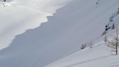 Powder im Stubai