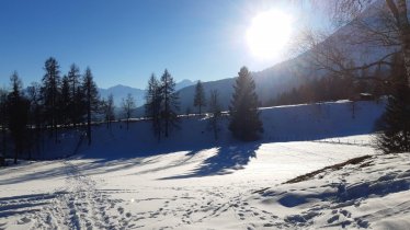 Landschaft rund um den Hof