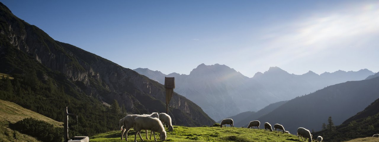 Eagle Walk Stage 14, © Tirol Werbung/Wiedenhofer Martina