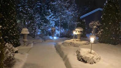 winter garden in the evening