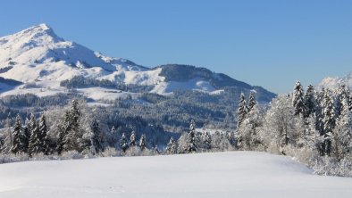 Ausblick auf Kitzbüheler Horn, © Schwaiger Manfred