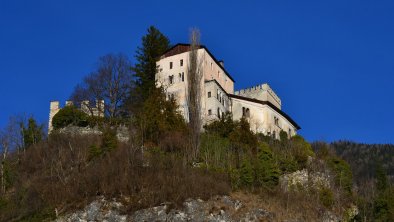 Blick zum Schloß Weißenstein