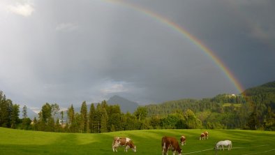 https://images.seekda.net/AT_UAB7-04-04-04/Regenbogenklein.jpg