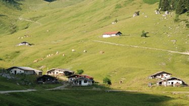 Feldalm at Walchsee, © Irene Prugger