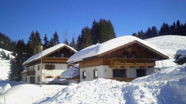 Haus Steinkarblick & Berghäusl Winter