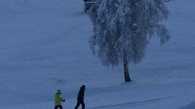 Schneeschuhwandern