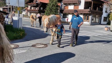 zurück zum Stall