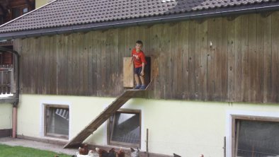 Hühner Stadlpoint Pferde Ried Zillertal