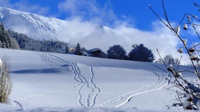 Schneeschuhwandern in tiefverschneiten Hängen