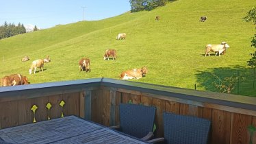 Brandterhof_Brandenberg_Alpbachtal_Terrasse mit Be