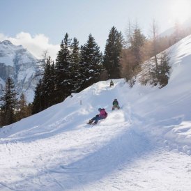 The Elfer-Pinnistal toboggan run in the Stubai Valley, © Tirol Werbung/Bert Heinzlmeier