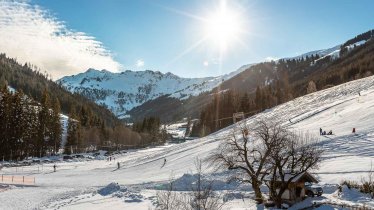 Ferienwohnungen Lehenhof_Alpbach_Inneralpbach_Skip