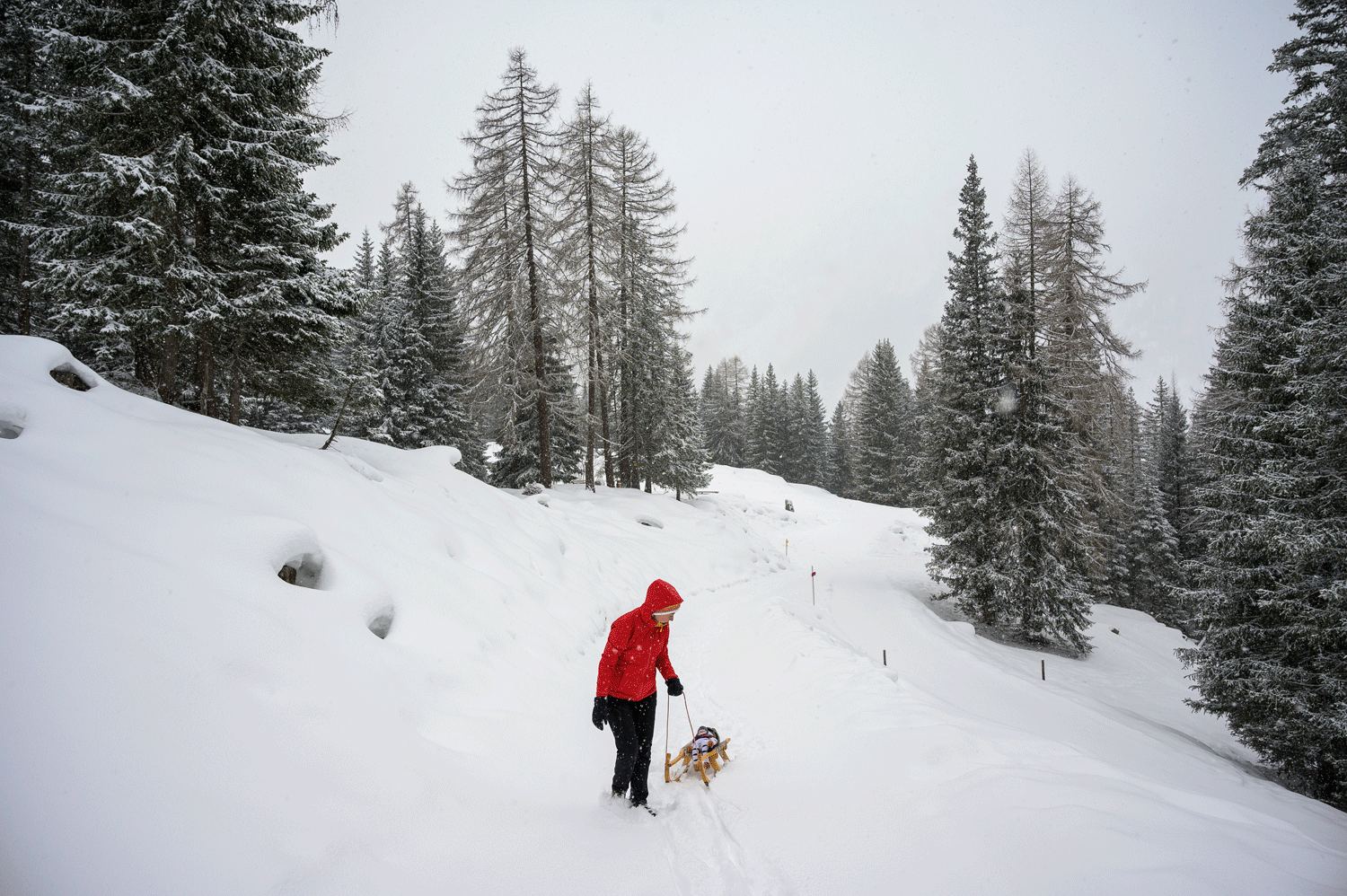 The natural sledding run above Toldern.