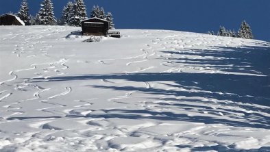 Blick nach oben, © DI Alexander Walther