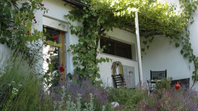 terrace with herbs