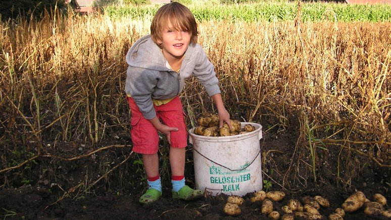 Osttiroler Kartoffel (East Tirol Potatoes), © Bezirkslandwirtschaftskammer Lienz